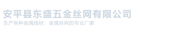 安平县东盛五金丝网有限公司