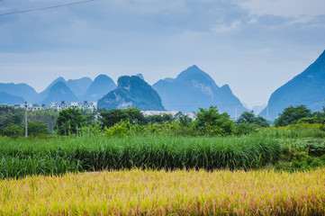 王子号