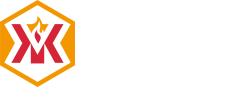 交流转向电机