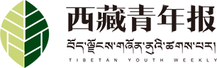 西藏青年报数字报