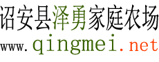 诏安县泽勇家庭农场