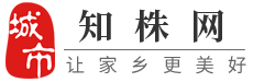 株洲城市网