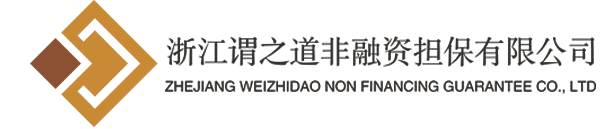 浙江谓之道非融资担保有限公司