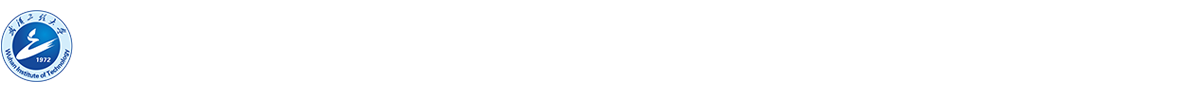 武汉工程大学知识产权运营中心